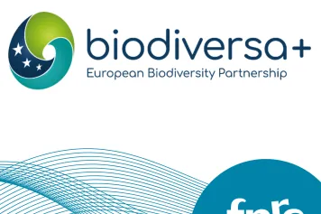 Opening of the Call Biodiversa+ “Biodiversity and Transformative Change”