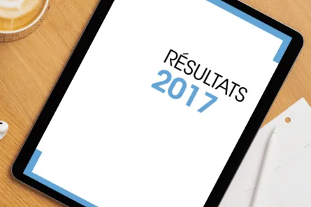 Rapport annuel 2017
