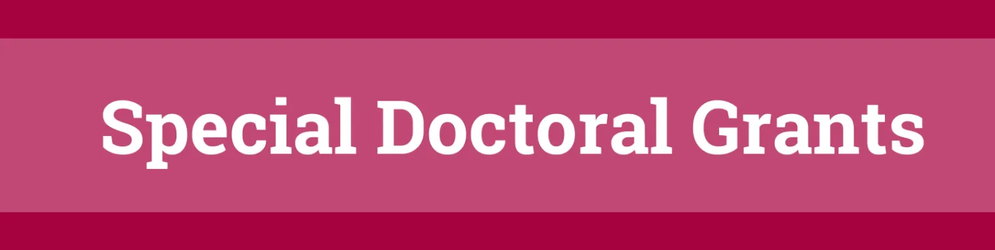 Special Doctoral Grants - Results of the call Grants and Fellowships 2024