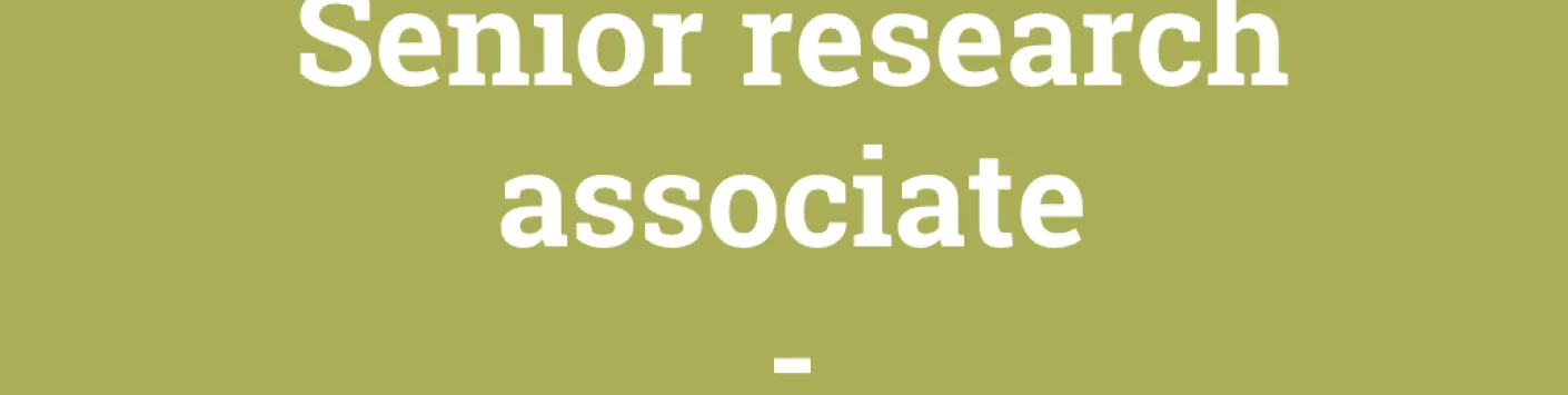 Results of the call Grants and Fellowships 2023 - Senior research associate