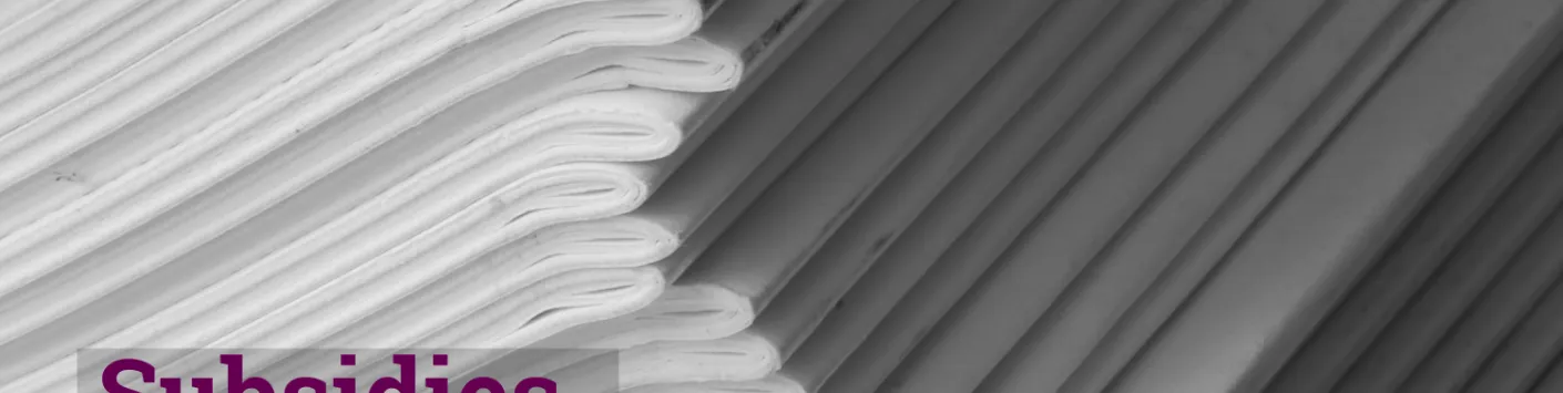 Subsidies for Scientific publications : opening of the call 2024