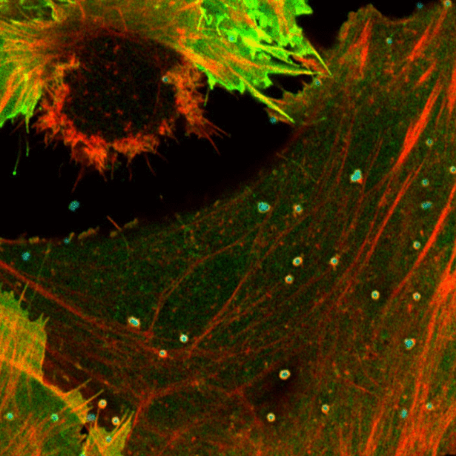 ArticleBenjaminLedoux