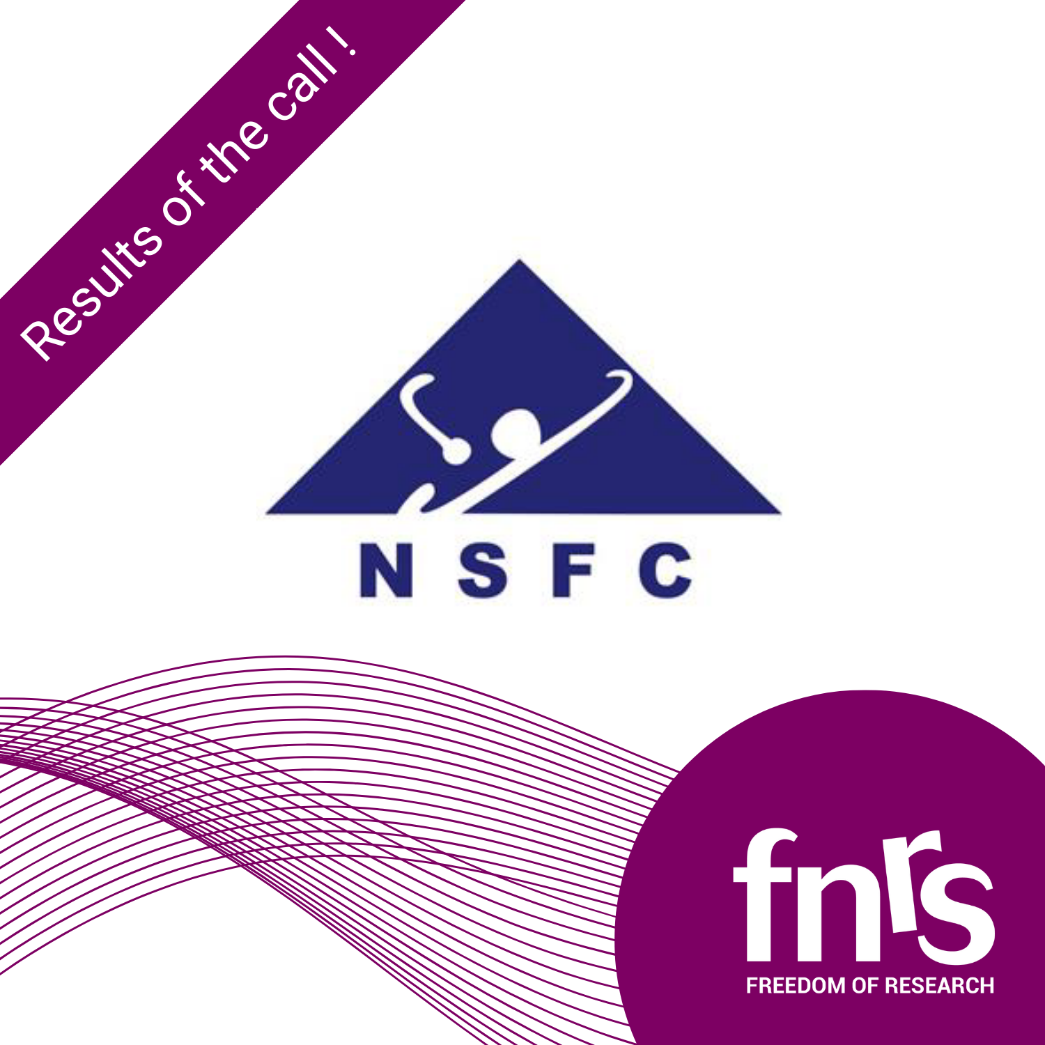 NSFC-results-2024-EN