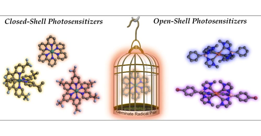 Factors-Controlling-Cage