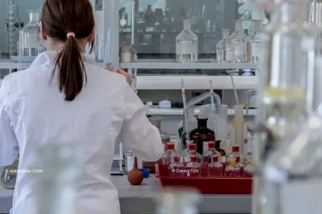 Animal experimentation