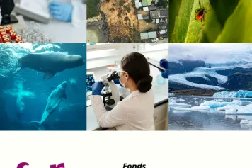 Quebec/Fédération Wallonie-Bruxelles collaboration: six new innovative research projects