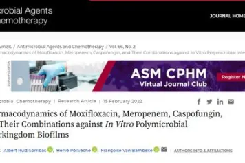 ? Des combinaisons d’antibiotiques contre les biofilms polymicrobiens 