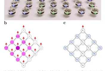 Mouvement cohérent d'individus sujets aux erreurs grâce à un couplage mécanique