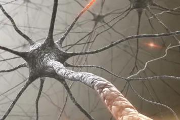 Une nouvelle découverte pour les troubles psychiatriques et moteurs