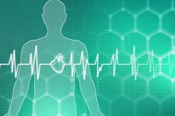 INNOVATION | ? Création d'une nouvelle spin-off issue de recherches menées au GIGA 