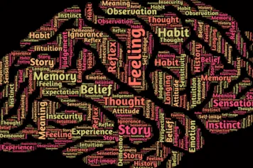 Les hormones sexuelles influencent-elles le cerveau des ados ?