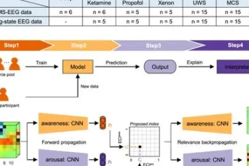 ? Démêler les composantes de la conscience 