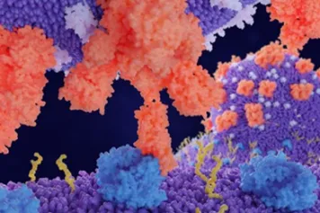 PUBLICATION SCIENTIFIQUE | Empêcher le lien coronavirus-cellule