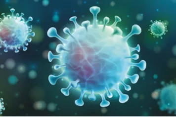 Les Belges attribuent aux autorités la note de 5,5 sur 10 pour leur politique COVID