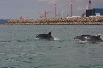 Pollution chimique : aucune eau n’est épargnée!