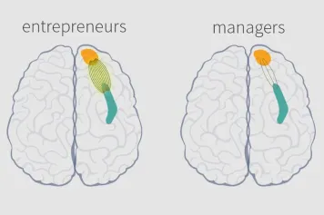 Cerveau des entrepreneurs : les chercheurs mettent en évidence une flexibilité cognitive accrue