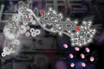 Production d’estétrol biosourcé