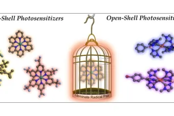Une nouvelle étude UCLouvain-UNamur sur le "cage escape yield"