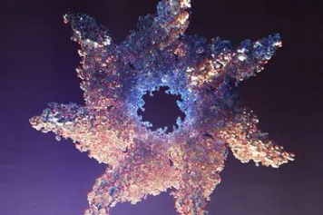 La protéine GroEL travaille avec un partenaire, CnoX, pour fonctionner correctement