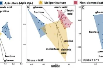 Convergence de la composition du miel et domestication parallèle des abeilles sociales