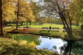 Le goût de l’irrégulier révolutionne les jardins
