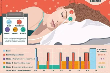 Apprendre une langue dans son sommeil : mythe ou réalité ?