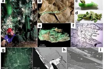 Le minéral riche en Ni, la népouite, explique la couleur verte exceptionnelle des spéléothèmes