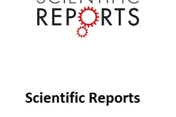 L'épuisement parental et la personnalité borderline se distinguent pour prédire la maltraitance des enfants
