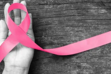 L'inhibition de la protéine mitochondriale OPA1 freine la croissance du cancer du sein