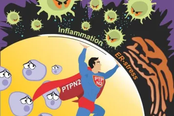 ?⛔️ Une protéine peut-elle empêcher la destruction des cellules productrices d'insuline dans le diabète auto-immun ?