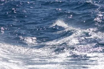 La séquestration de carbone par la pompe biologique n'est pas l’apanage de l’océan profond