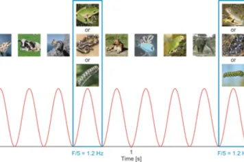 Cerveau humain et menaces animales : des bébés détectent en priorité les serpents