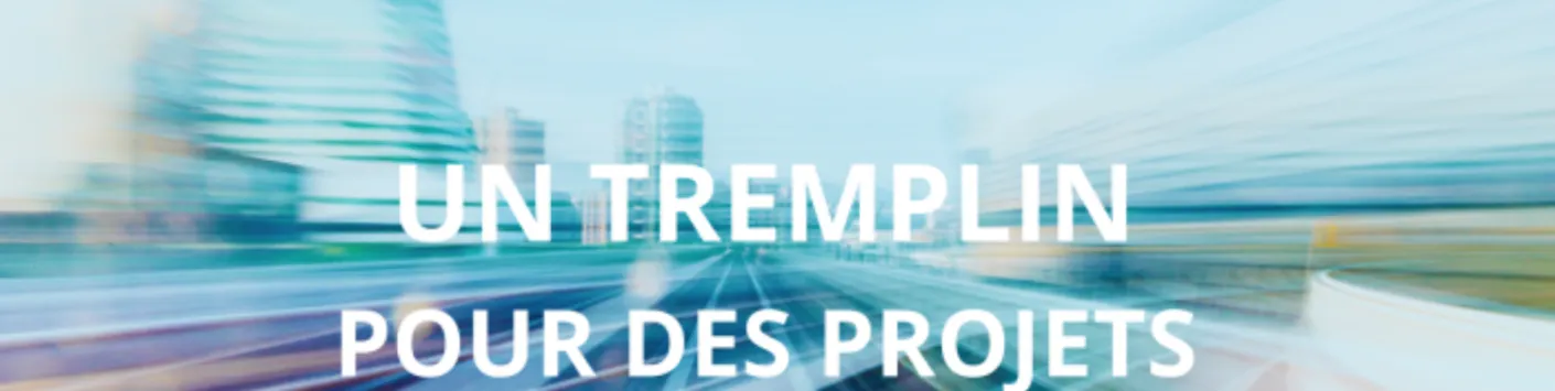 Appel à propositions IntenSciF 2024