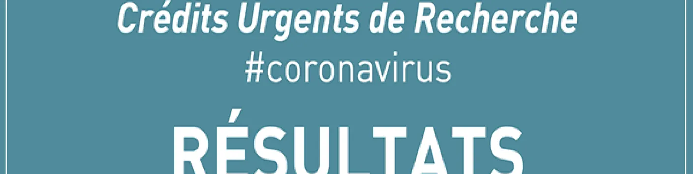 Successful applications for the Coronavirus Call - Urgent Research Credits (CUR)