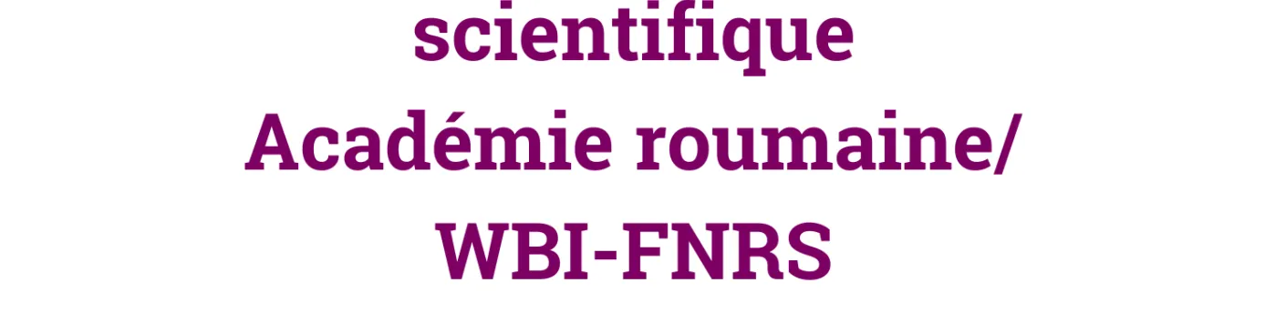 Appel à projets : Programme de coopération scientifique avec l’Académie roumaine