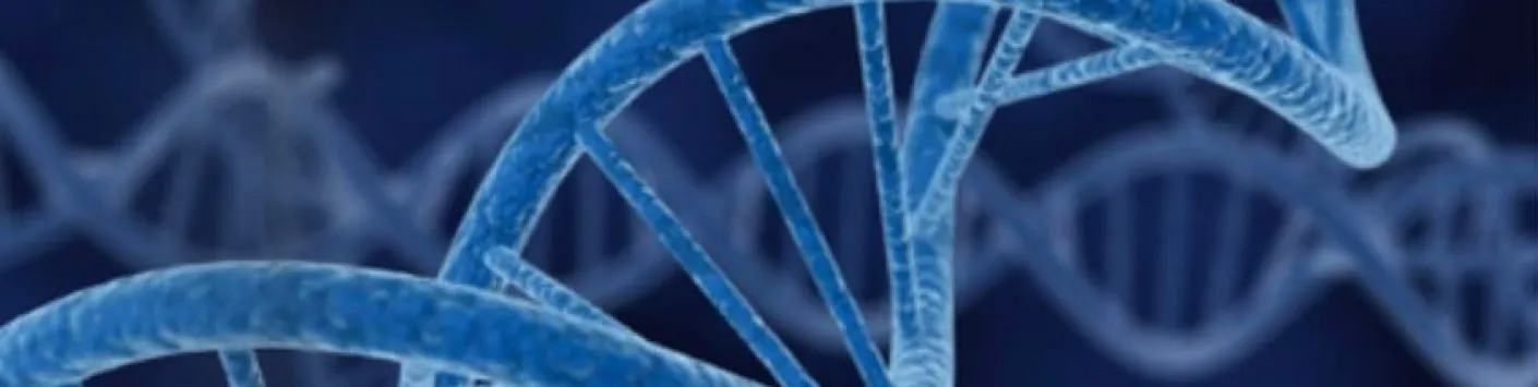 Mieux comprendre les origines génétiques de nombreuses maladies rares