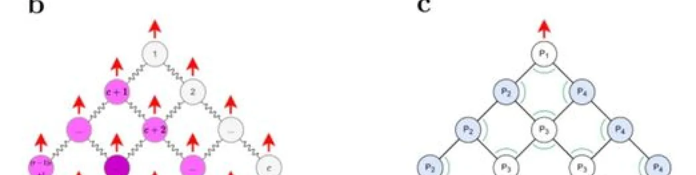 Mouvement cohérent d'individus sujets aux erreurs grâce à un couplage mécanique