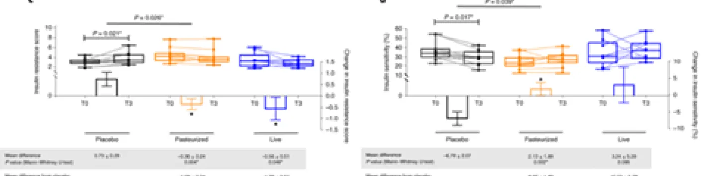 Akkermansia muciniphila, une bactérie susceptible de limiter les risques cardiovasculaires d’un Belge sur deux