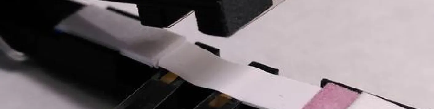 ? Un autotest en papier pour analyser la qualité de l’eau 