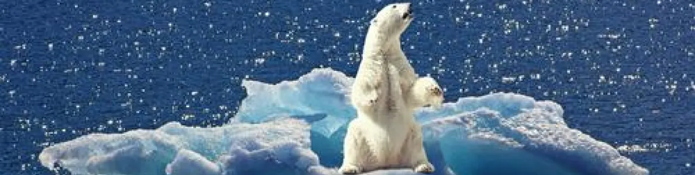 La bombe atomique du 21e siècle n'est pas celle que l'on croit