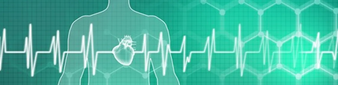 INNOVATION | ? Création d'une nouvelle spin-off issue de recherches menées au GIGA 