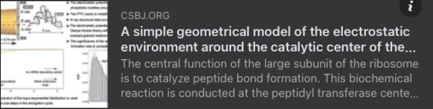 Un modèle géométrique simple de l'environnement électrostatique autour du centre catalytique du ribosome et de sa signification pour la cinétique du cycle d'allongement 