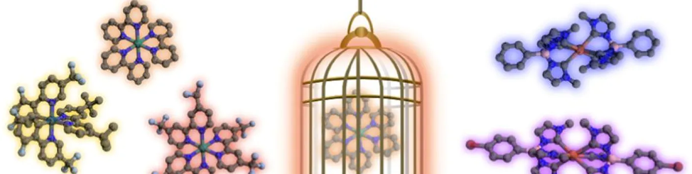 Une nouvelle étude UCLouvain-UNamur sur le "cage escape yield"