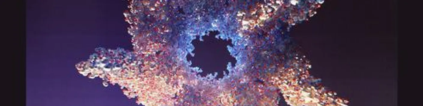 La protéine GroEL travaille avec un partenaire, CnoX, pour fonctionner correctement