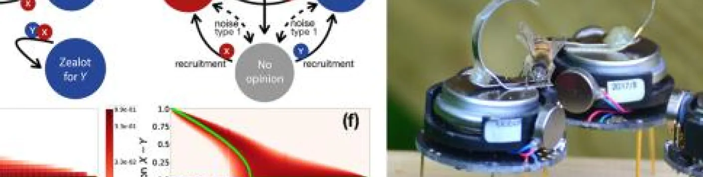 L'inhibition croisée conduit à un consensus de groupe malgré la présence de minorités aux opinions tranchées et de comportements asociaux