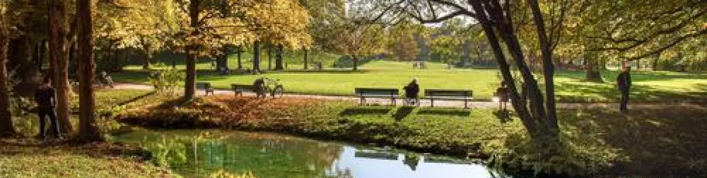 Le goût de l’irrégulier révolutionne les jardins