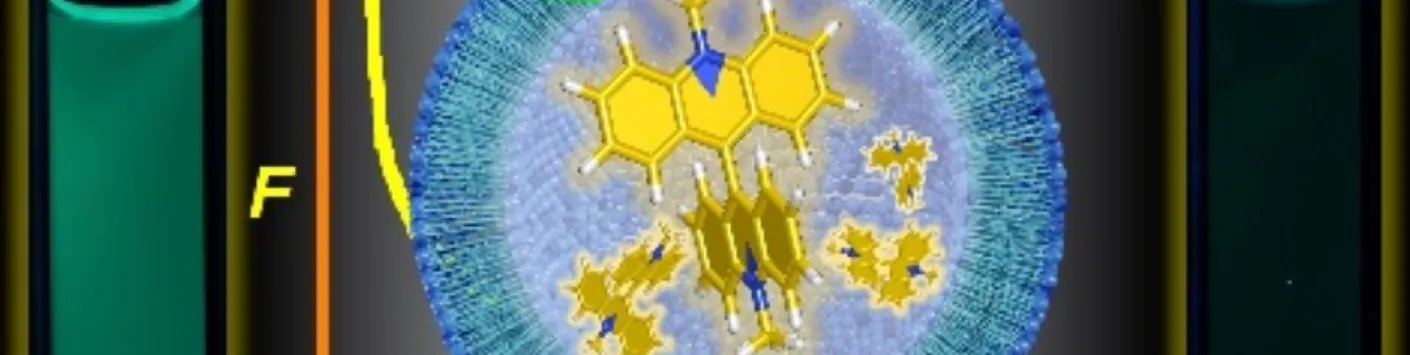 Le test de la lucigénine : Mesure du transport d'anions dans les vésicules lipidiques