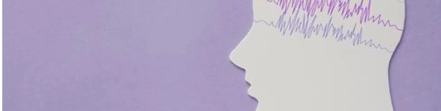 Des "mini-cerveaux" en culture in vitro sur la durée