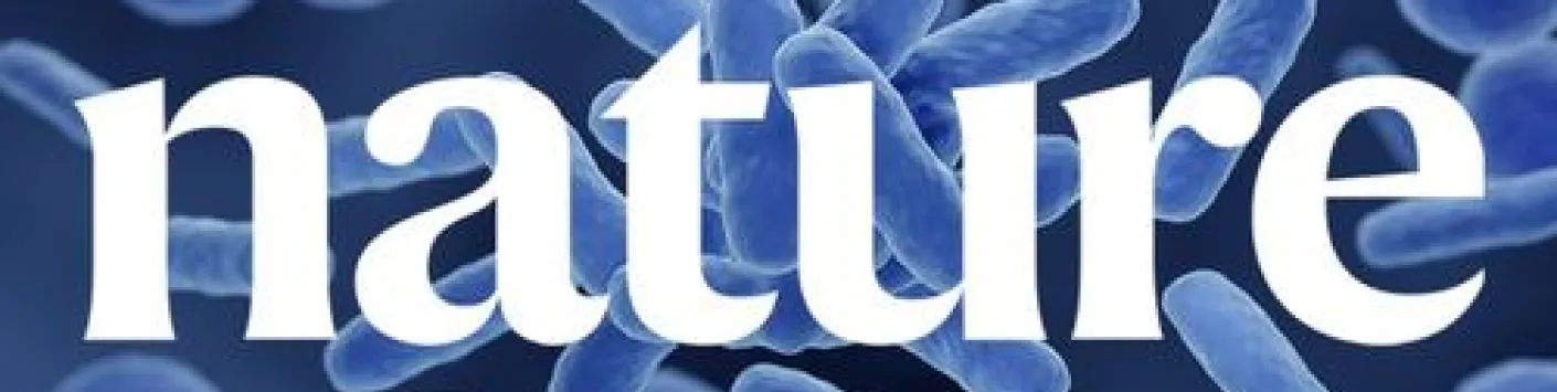 De nouveaux indices pour percer l’armure de Brucella