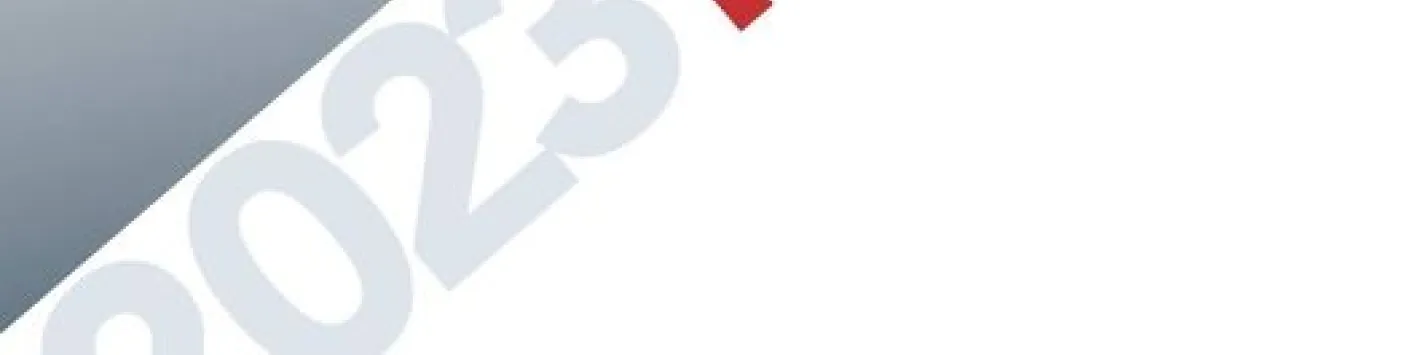 Recension : "Narrations de la norme"